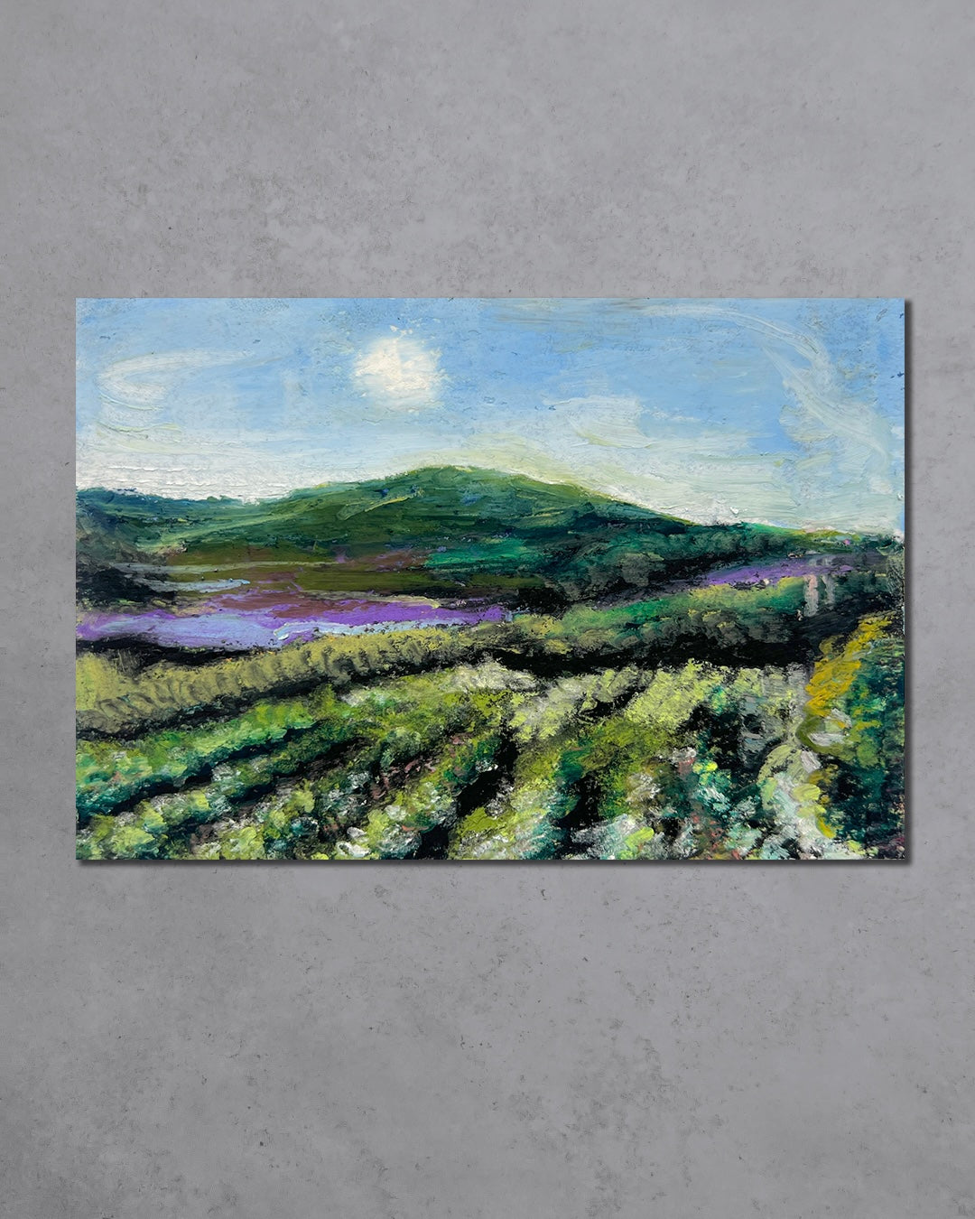 Workout 2024.08.26am