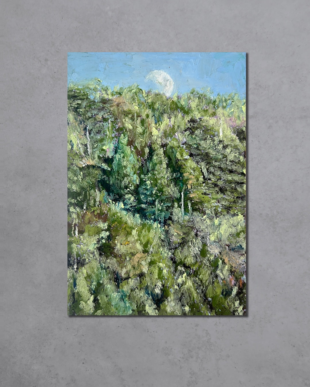 Workout 2024.07.15pm